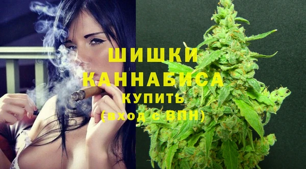 бошки Каменногорск