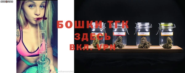 бошки Каменногорск