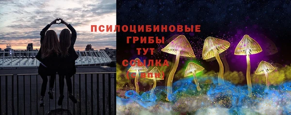 гидра Каменск-Шахтинский