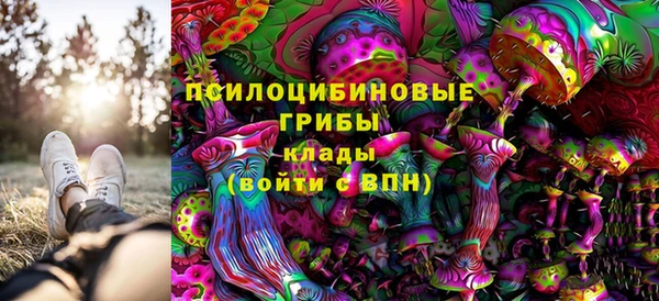 марки nbome Новозыбков