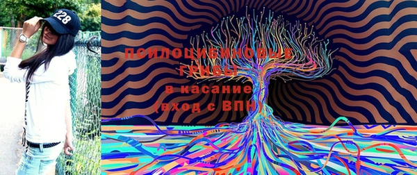 не бодяженный Карпинск