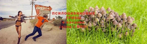 бошки Каменногорск