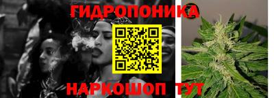 прущие крисы Изобильный