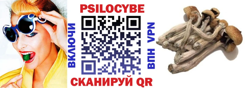 Псилоцибиновые грибы мухоморы Красноармейск