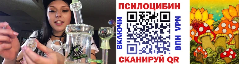 закладка  Красноармейск  Псилоцибиновые грибы GOLDEN TEACHER 