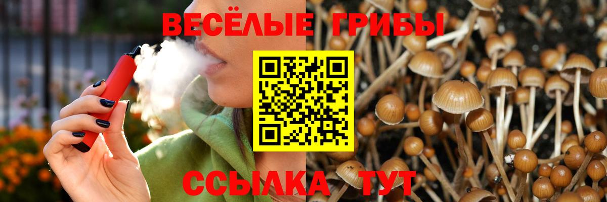 Красноармейск  Галлюциногенные грибы мухоморы  Вход с VPN  Псилоцибиновые грибы мухоморы 